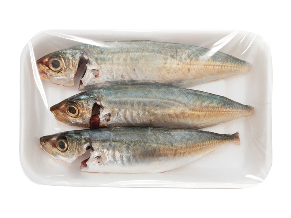 Cá tươi - Ảnh 3