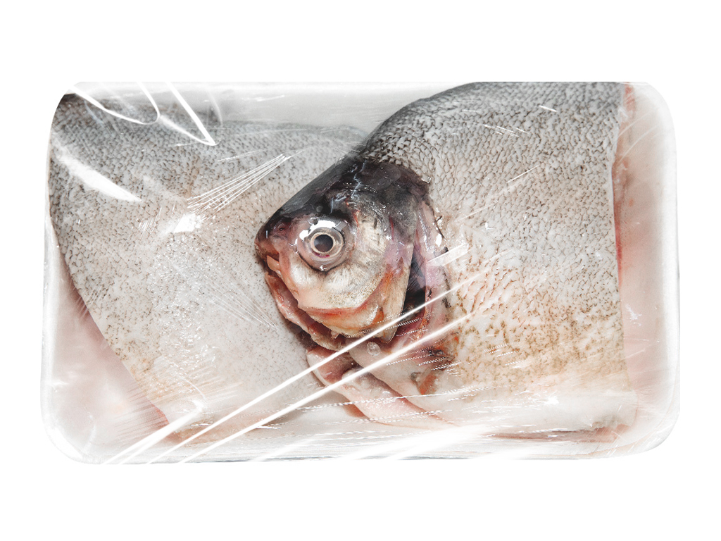 Cá tươi - Ảnh 6