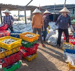 Thực phẩm tươi sống hàng ngày