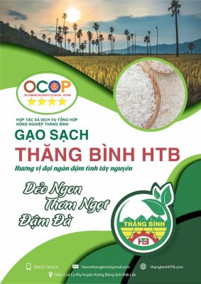 Gạo sạch quê