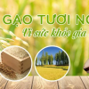 Gạo nếp hương