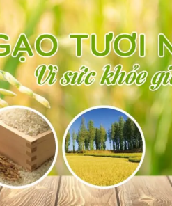 Gạo nếp hương