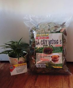 Lá cây mùng 5